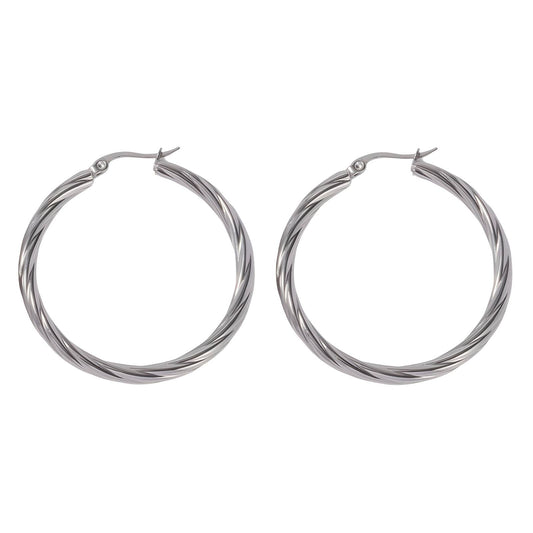 Stainless steel earrings