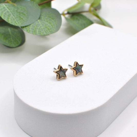 Abalone Star Earrings